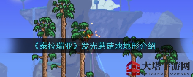 探寻泰拉秘境：奇遇松露人，蘑菇草海闪耀夜空