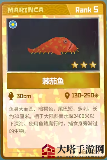 《潜水员戴夫》棘茄鱼抓捕攻略