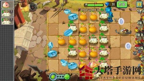 《植物大战僵尸2》功夫世界第十一关攻略