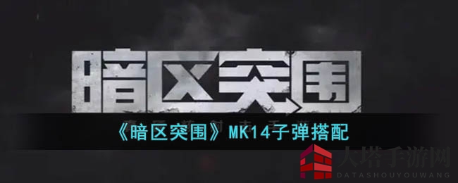 《暗区突围》MK14弹种揭秘：性价比之选与硬核对决策略