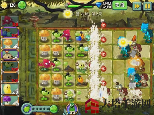《植物大战僵尸2》失落之城第三关攻略