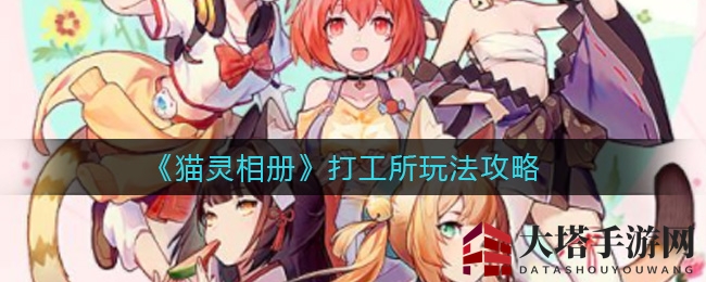 《猫灵相册》打工所独门秘籍大公开，揭秘提升收入攻略