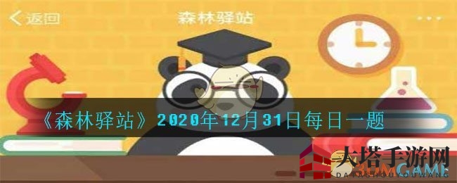《森林驿站》揭秘：蝙蝠如何成为植物种子的神秘传播者