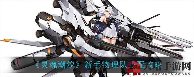 《灵魂潮汐》新手物理队打造秘籍，打造无敌战队攻略全解析