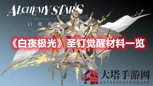 《白夜极光》圣钉觉醒：解锁资源秘籍，巅峰之旅启航