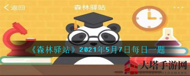 《森林驿站》2021年5月7日每日一题