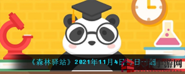 《森林驿站》2021年11月4日每日一题