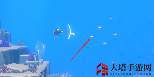 《潜水员戴夫》致幻鱼抓捕攻略