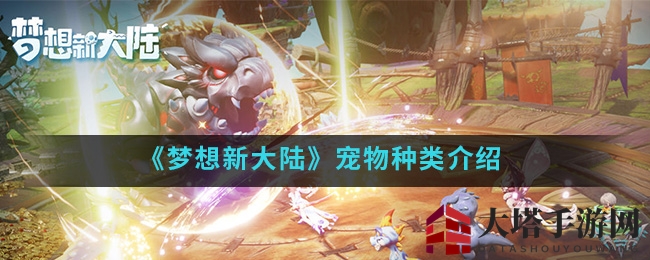 《梦想新大陆》手游宠物攻略：多样阵容助你战力飙升，稀有神兽等你来养