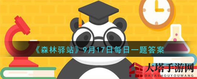 《森林驿站》9月17日每日一题答案