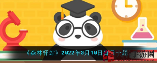《森林驿站》2022年3月10日每日一题