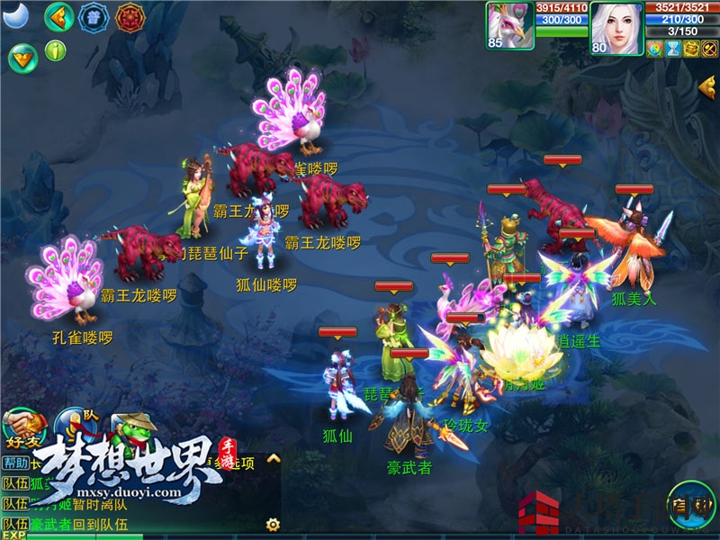 梦想世界手游：术士毒医，生死线上的神秘传奇