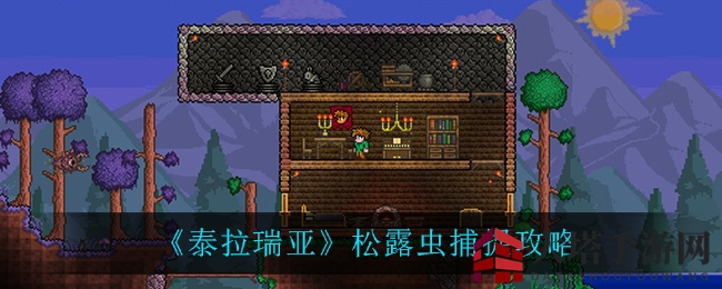 《泰拉瑞亚》夜幕秘境：虫网猎手捕捉奇珍松露虫攻略大揭秘