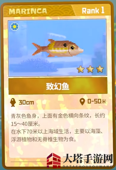 《潜水员戴夫》致幻鱼抓捕攻略