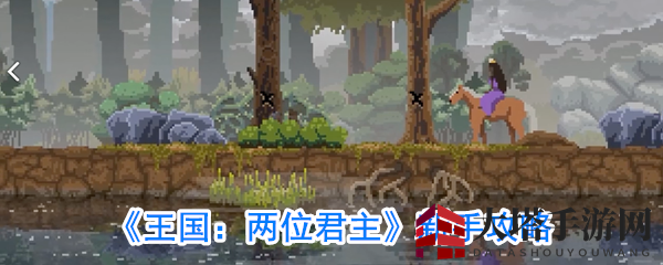 《王国：两位君主》新手攻略