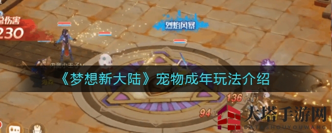 《梦想新大陆》宠物成年玩法介绍