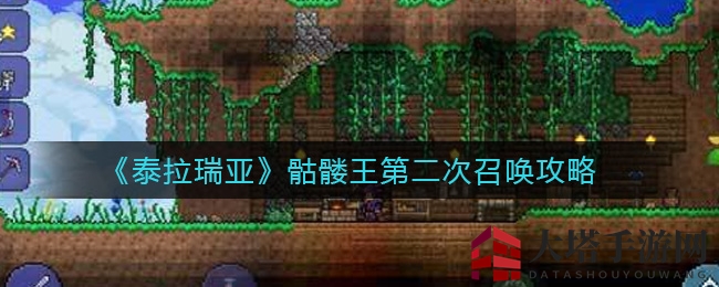 《泰拉瑞亚》再战骷髅王：破解二次召唤神秘之旅