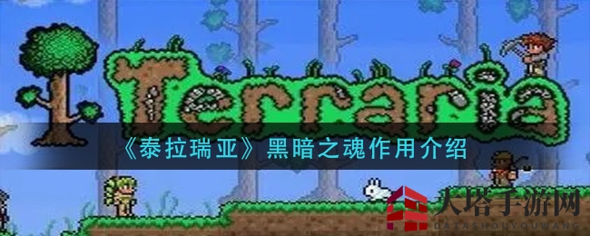 《泰拉瑞亚》黑暗之魂作用解析