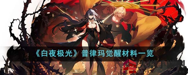 《白夜极光》普律玛觉醒：揭秘珍稀材料，唤醒神秘力量