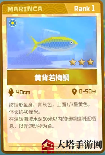 《潜水员戴夫》黄背若梅鲷抓捕攻略