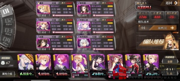 《深渊地平线》顶尖阵容配置推荐