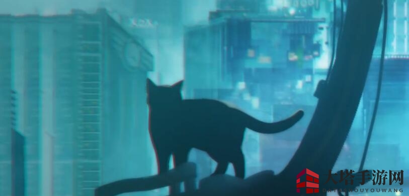 《猫之城》官方入口分享